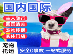 哈密伊州航空货运国际宠物托运 【国
